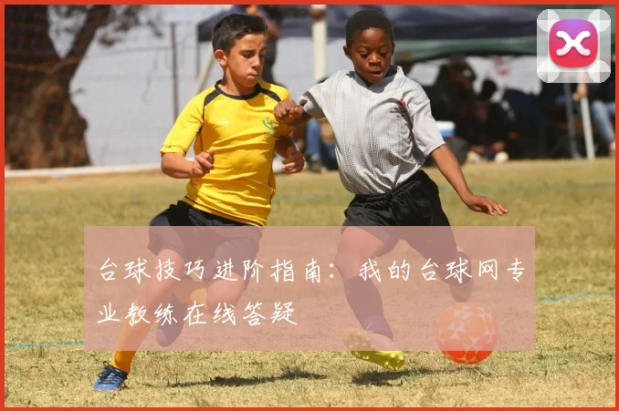 台球技巧进阶指南：我的台球网专业教练在线答疑